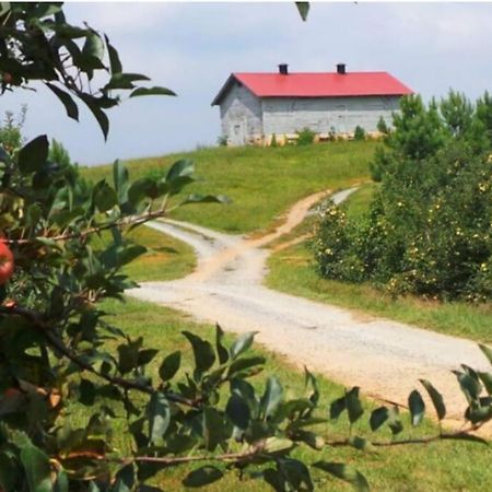 Close To Lake Blue Ridge, Hot Tub, Swing Beds Morganton Eksteriør bilde